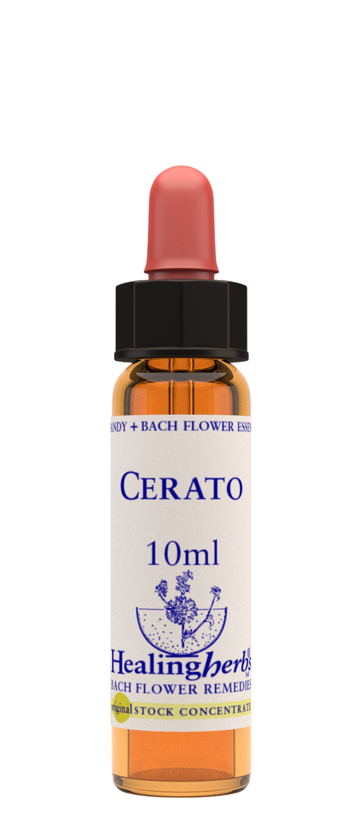 Healing Herbs Ltd Cerato 10ml - Dennis the Chemist