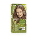 Naturtint 6G Dark Golden Blonde - Dennis the Chemist