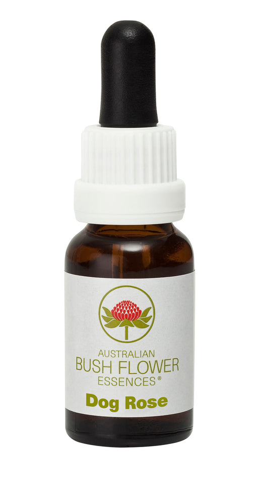 Australian Bush Flower Essences Dog Rose (Stock Bottle) 15ml - Dennis the Chemist