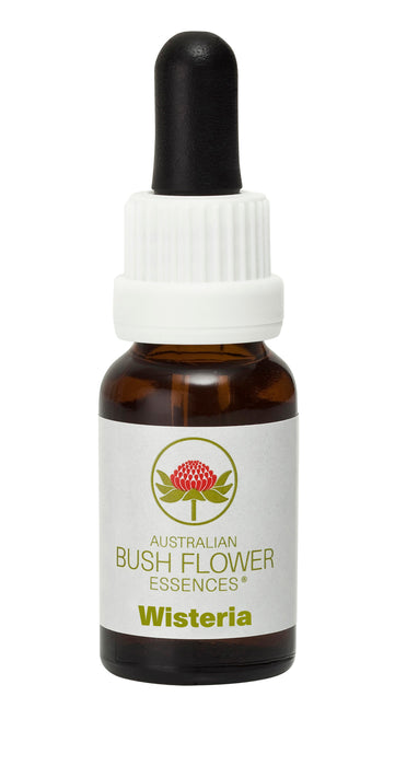 Australian Bush Flower Essences Wisteria (Stock Bottle) 15ml - Dennis the Chemist