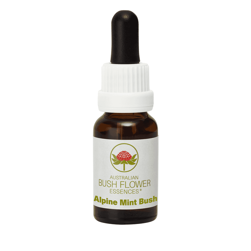 Australian Bush Flower Essences Alpine Mint Bush (Stock Bottle) 15ml