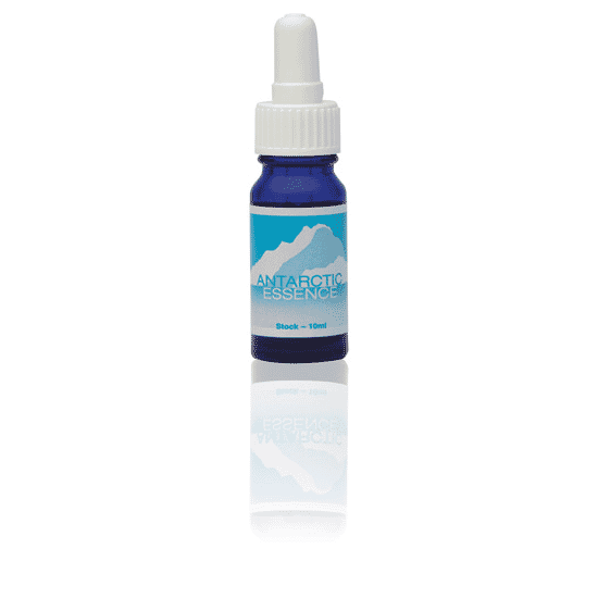 Australian Bush Flower Essences Antarctic (Stock Bottle) 10ml - Dennis the Chemist