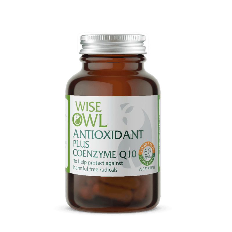 Wise Owl Antioxidant Plus Coenzyme Q10 60s