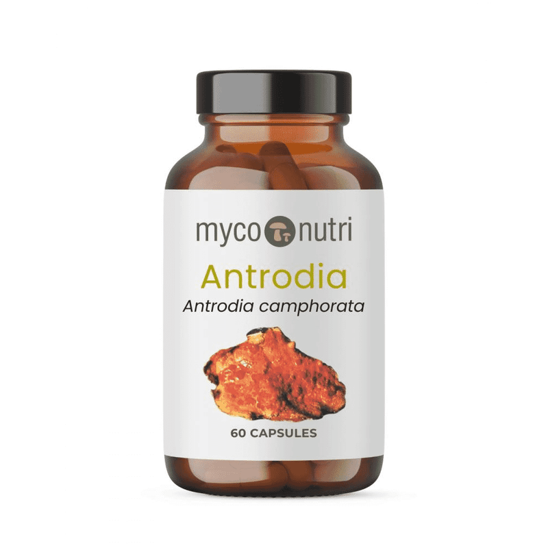 MycoNutri Antrodia Camphorata Capsules 60s - Dennis the Chemist