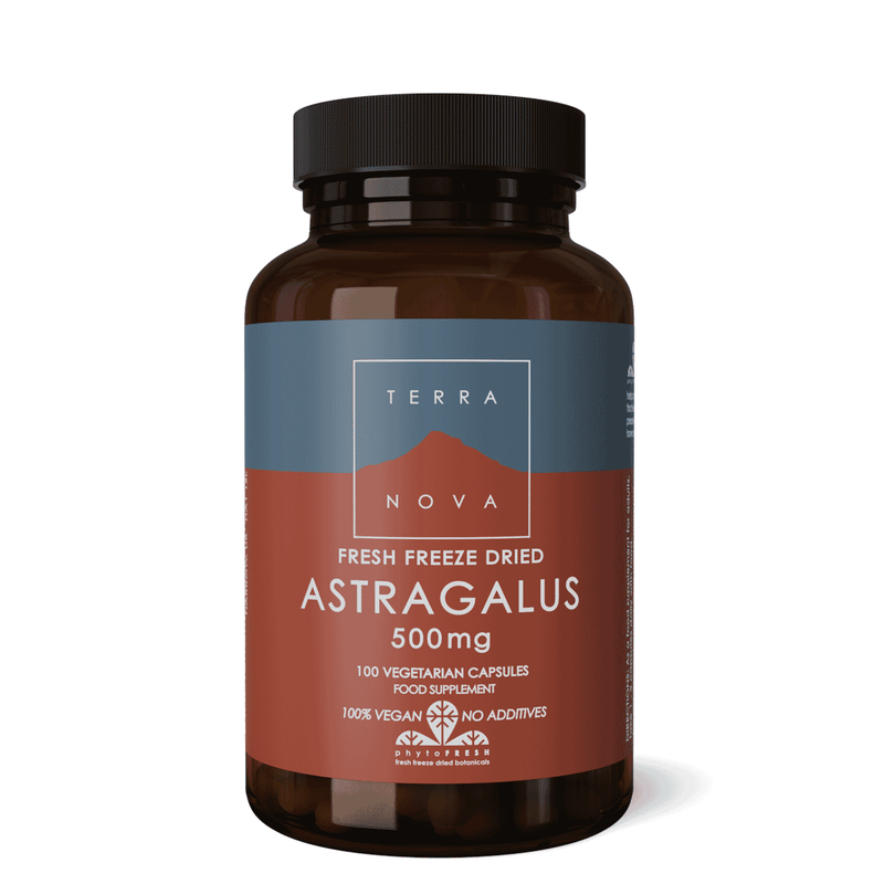 Terranova Astragalus 500mg 100s