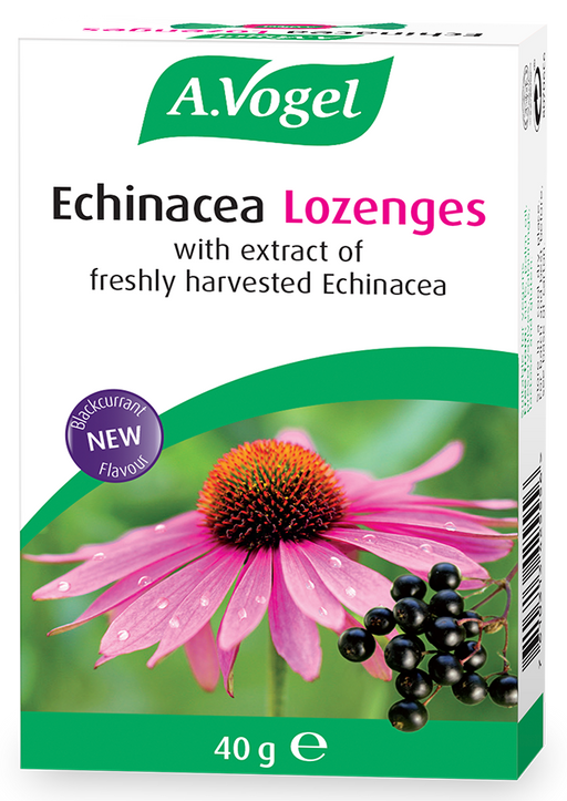A Vogel (BioForce) Echinacea Blackcurrant Flavour Lozenges 40g - Dennis the Chemist