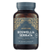 Ayurvediq Wellness Boswellia Serrata with Turmeric & Black Pepper 60s - Dennis the Chemist