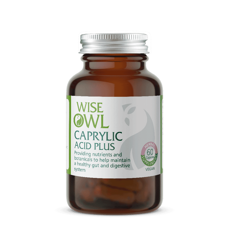 Wise Owl Caprylic Acid Plus 60s