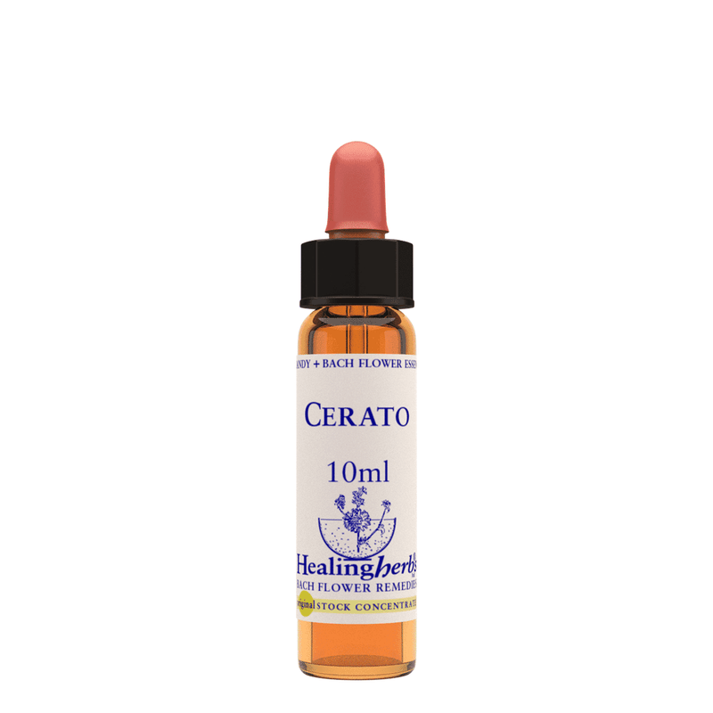 Healing Herbs Ltd Cerato 10ml