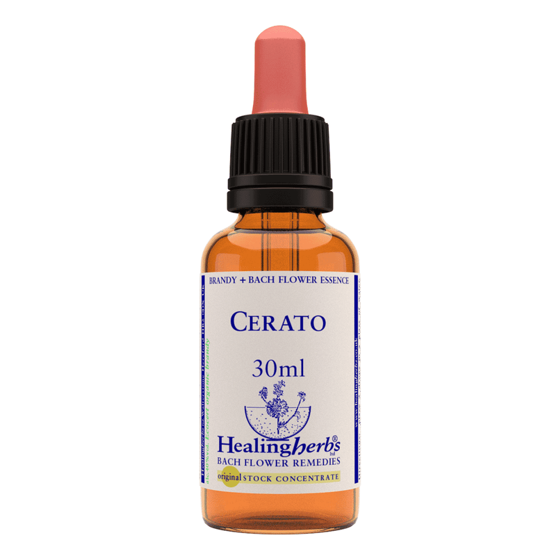 Healing Herbs Ltd Cerato 30ml