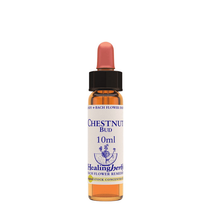Healing Herbs Ltd Chestnut Bud 10ml