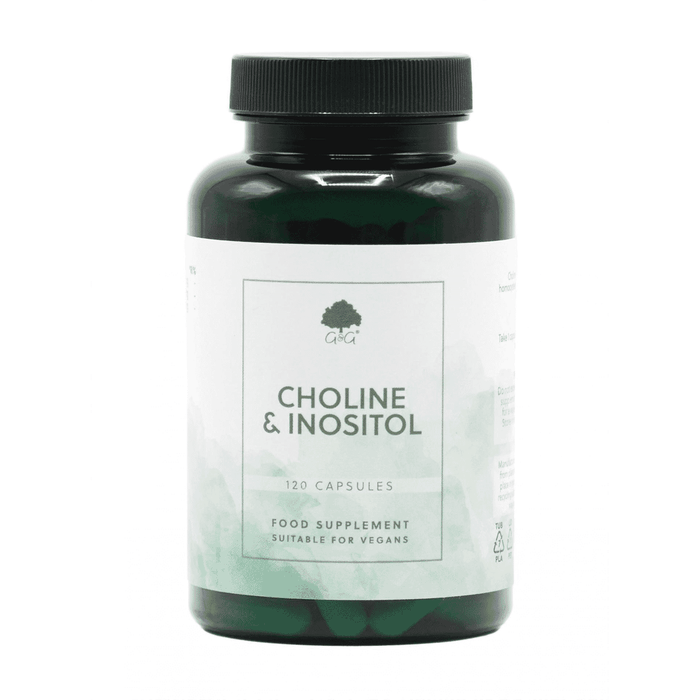 G&G Vitamins Choline & Inositol 120s