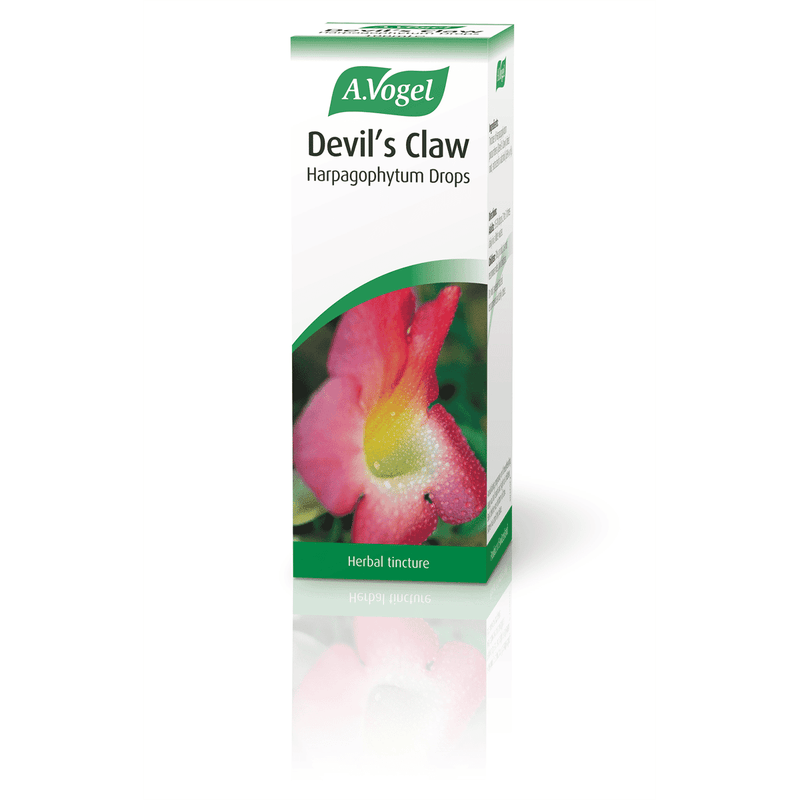A Vogel (BioForce) Devil's Claw Harpagophytum Drops 100ml