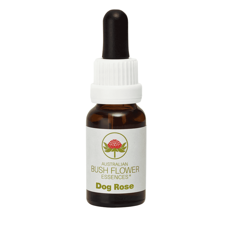 Australian Bush Flower Essences Dog Rose (Stock Bottle) 15ml