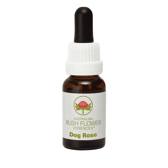 Australian Bush Flower Essences Dog Rose (Stock Bottle) 15ml - Dennis the Chemist