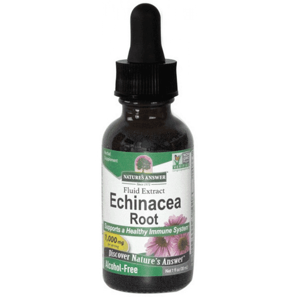 Nature's Answer Echinacea Root (Alcohol-Free) 30ml - Dennis the Chemist