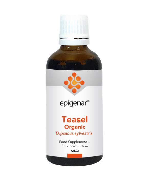 Epigenar Teasel Organic 50ml - Dennis the Chemist