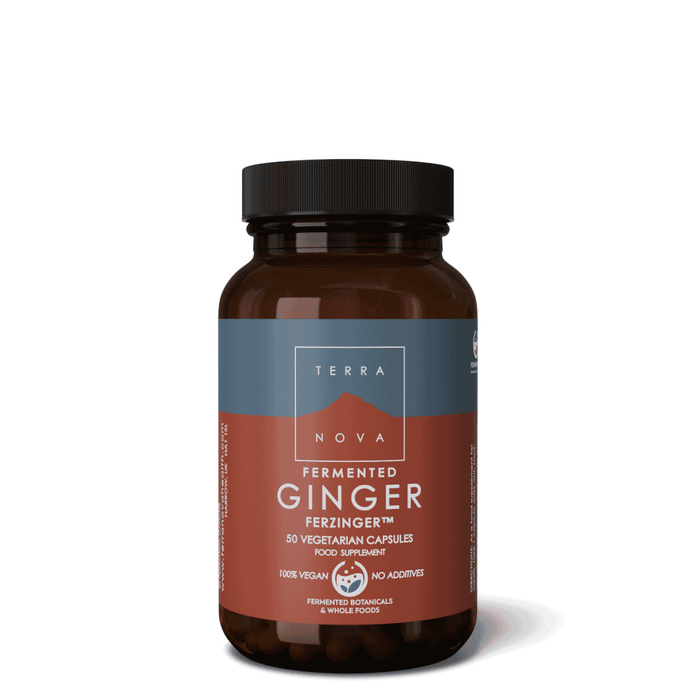 Terranova Fermented Ginger FERZINGER 50s