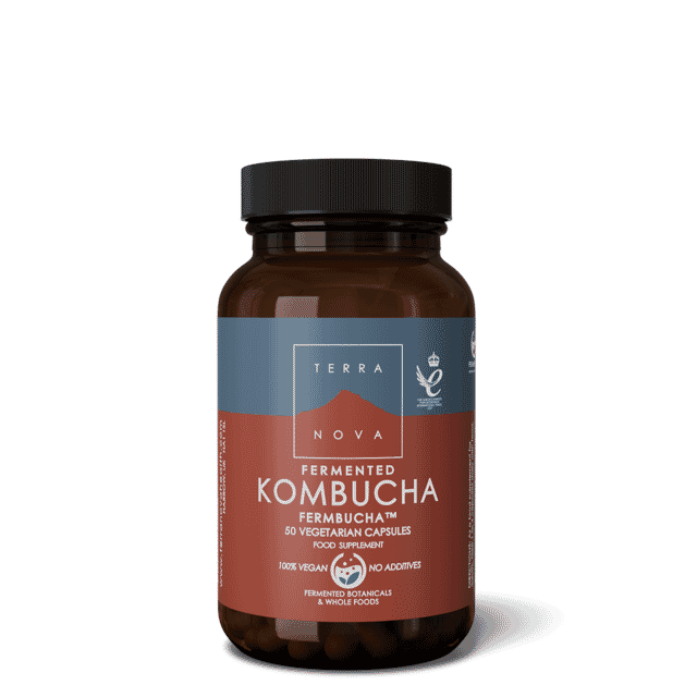 Terranova Fermented Kombucha 50s