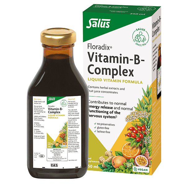 Salus Floradix Vitamin-B Complex Liquid Vitamin Formula 250ml