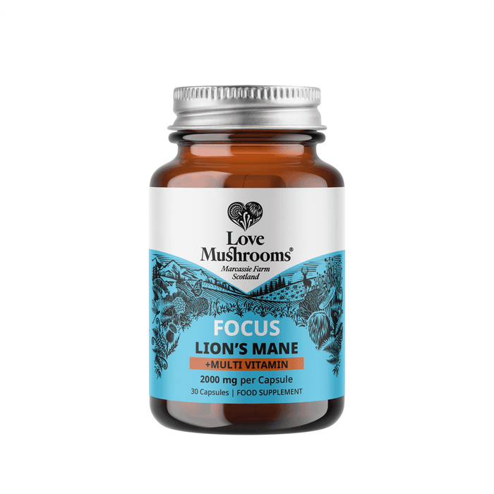 Love Mushrooms Focus Lion's Mane + Multivitamin 30s