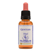 Healing Herbs Ltd Gentian 30ml - Dennis the Chemist