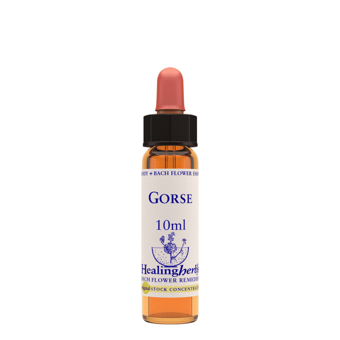 Healing Herbs Ltd Gorse 10ml