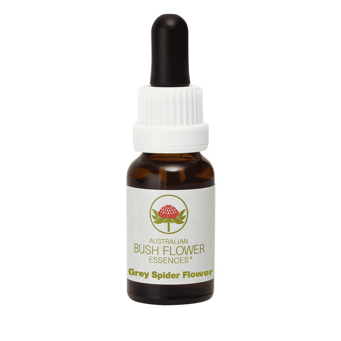 Australian Bush Flower Essences Grey Spider Flower 15ml