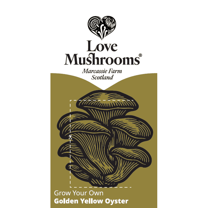 Love Mushrooms Grow Your Own Golden Yellow Oyster (Mushroom Grow Kit)