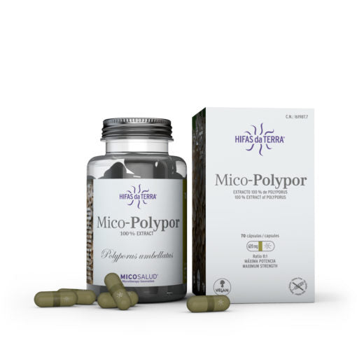 Hifas da Terra Mico-Polypor 70's - Dennis the Chemist