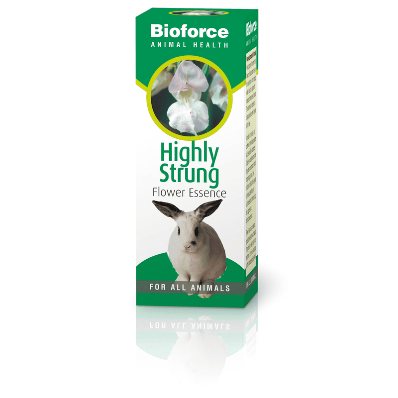 A Vogel BioForce Highly Strung Animal Health 30ml bottle with a white label and blue cap, designed for animal wellness.