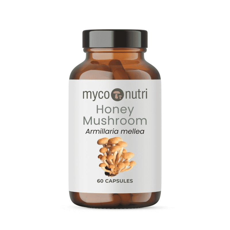 MycoNutri Honey Mushroom Capsules 60s - Dennis the Chemist