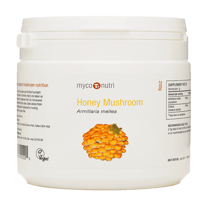 MycoNutri Honey Mushroom Powder 250g - Dennis the Chemist