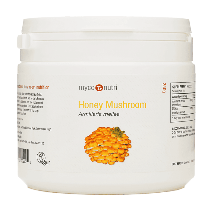 MycoNutri Honey Mushroom Powder 250g
