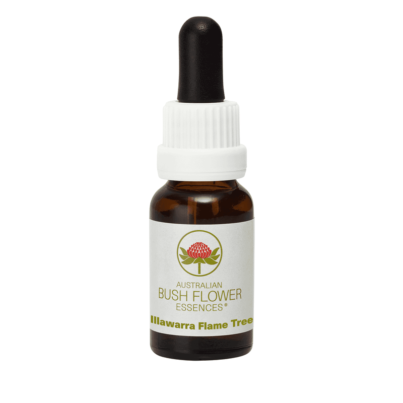Australian Bush Flower Essences Illawarra Flame Tree (Stock Bottle) 15ml