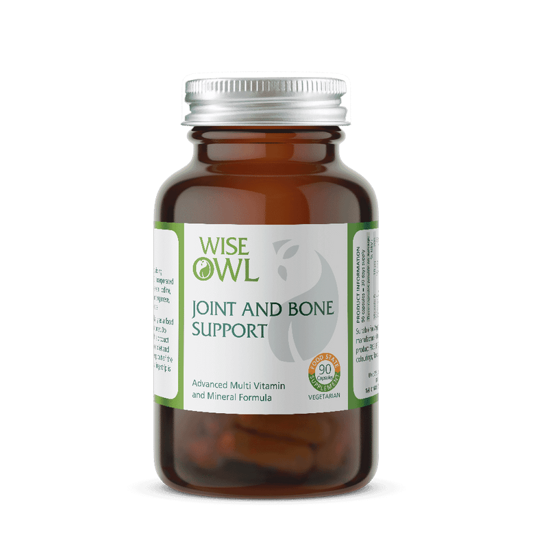 Wise Owl Joint and Bone Support 90s