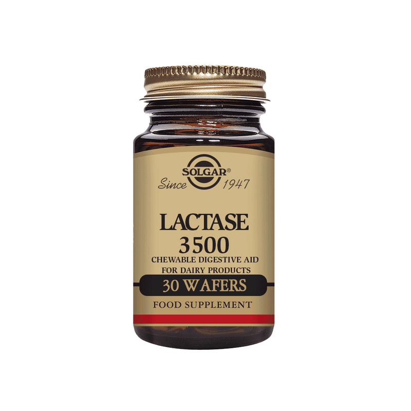 Solgar Lactase 3500 Wafers 30s