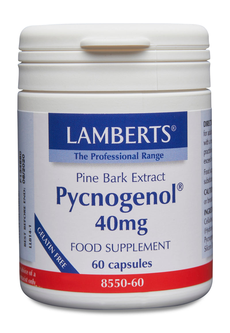 Lamberts Pycnogenol 40mg 60's - Dennis the Chemist