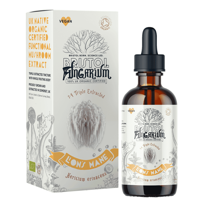 Bristol Fungarium Lion's Mane 1:4 Triple Extracted 50ml