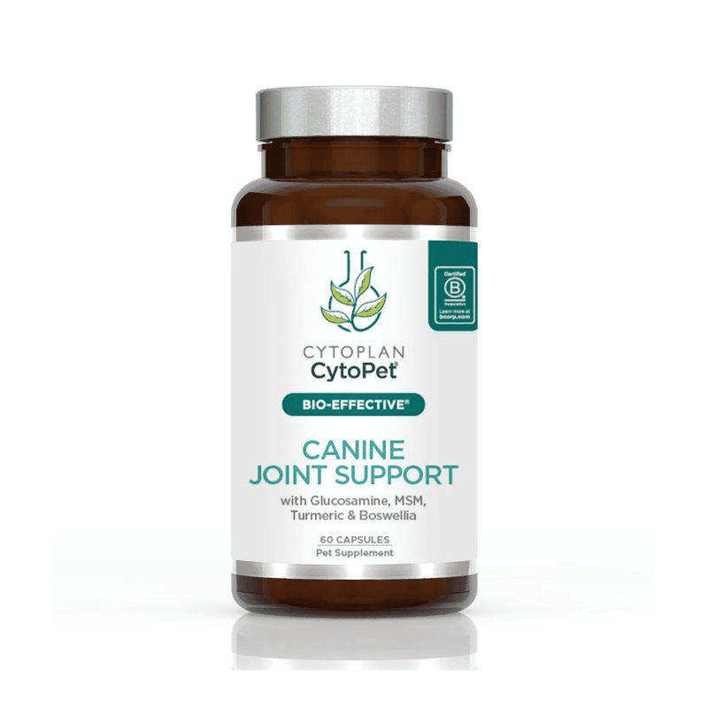Cytoplan CytoPet Canine Joint Support 60s