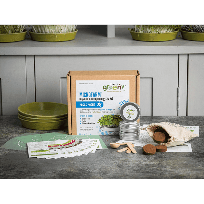 Teeny Greeny Microfarm Organic Microgreen Grow Kit 'Focus Pocus' (Broccoli, Kale, China Radish)
