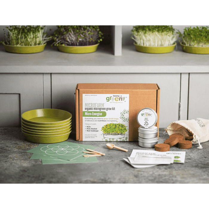 Teeny Greeny Microfarm Organic Microgreen Grow Kit 'Micro-Energise' (Kale, Pink Radish, Red Cabbage)