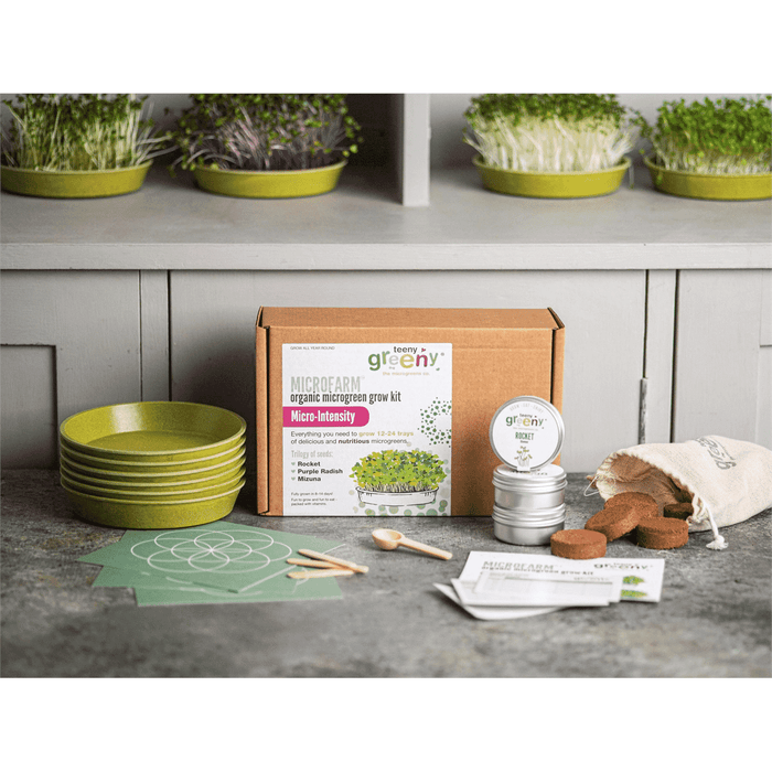 Teeny Greeny Microfarm Organic Microgreen Grow Kit 'Micro-Intensity' (Rocket Purple Radish, Mizuna)