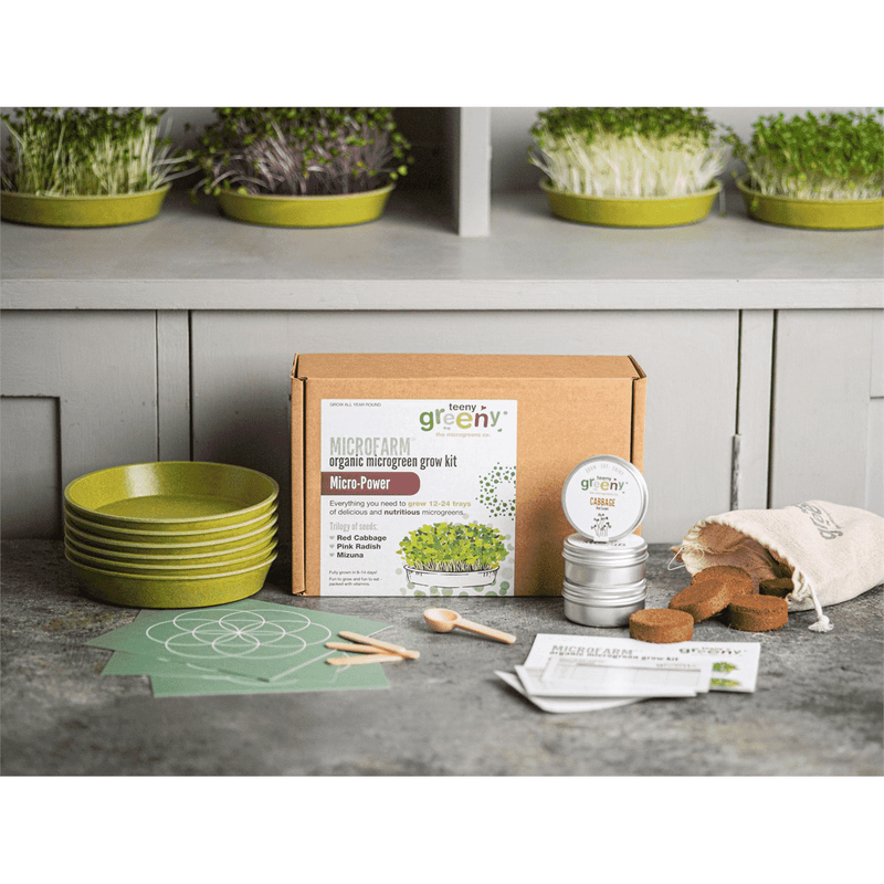 Teeny Greeny Microfarm Organic Microgreen Grow Kit 'Micro-Power' (Red Cabbage, Pink Radish, Mizuna)
