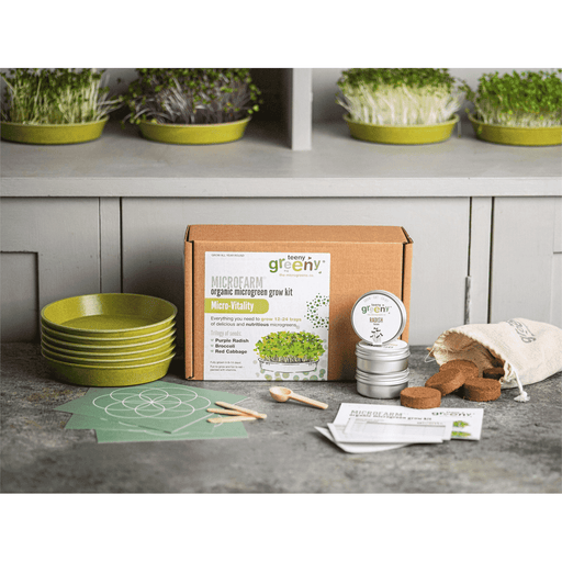 Teeny Greeny Micro-Vitality organic microgreen grow kit with purple radish, broccoli, and red cabbage microgreens in a tray.