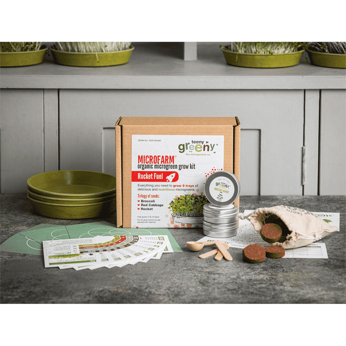 Teeny Greeny Microfarm Organic Microgreen Grow Kit 'Rocket Fuel' (Broccoli, Red Cabbage, Rocket)