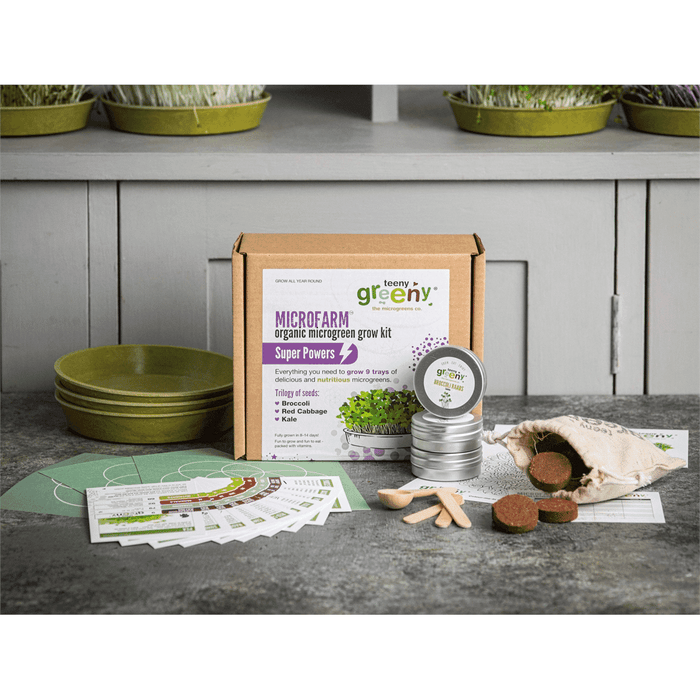 Teeny Greeny Microfarm Organic Microgreen Grow Kit 'Super Powers' (Broccoli, Red Cabbage, Kale)