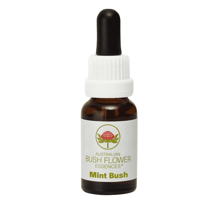 Australian Bush Flower Essences Mint Bush (Stock Bottle) 15ml