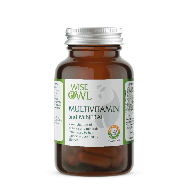 Wise Owl Multivitamin and Mineral 120s