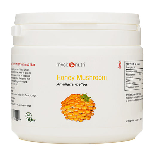 MycoNutri Honey Mushroom Powder 250g - Dennis the Chemist